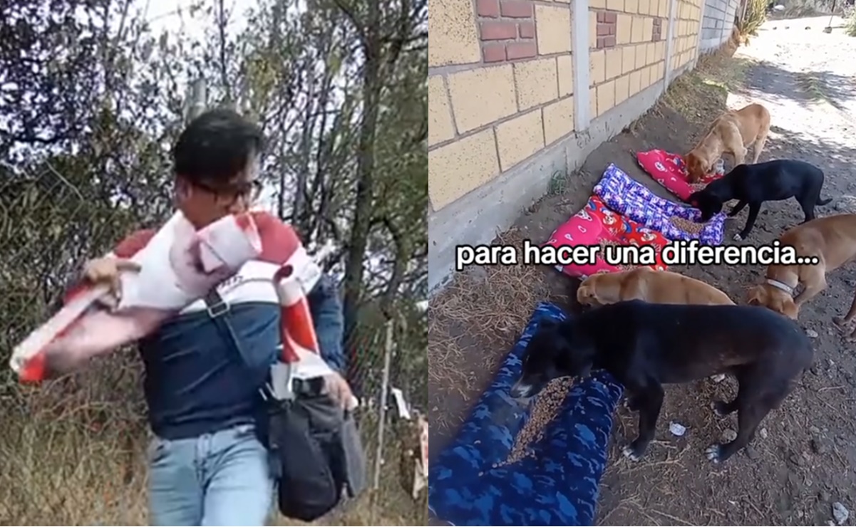 ¡Héroe sin capa! Convierte “basura electoral” en camas para perritos de la calle y es viral en TikTok