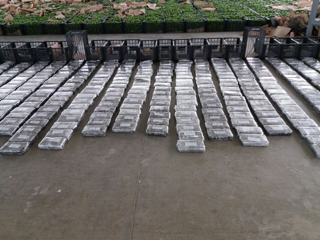 Ejército decomisa más de una tonelada de droga en cargamento de limones