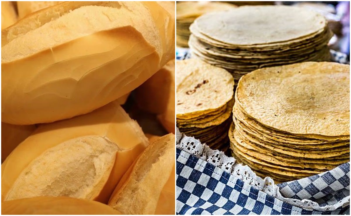 ¿Bolillo o tortillas? Este es el alimento con más calorías, según la UNAM