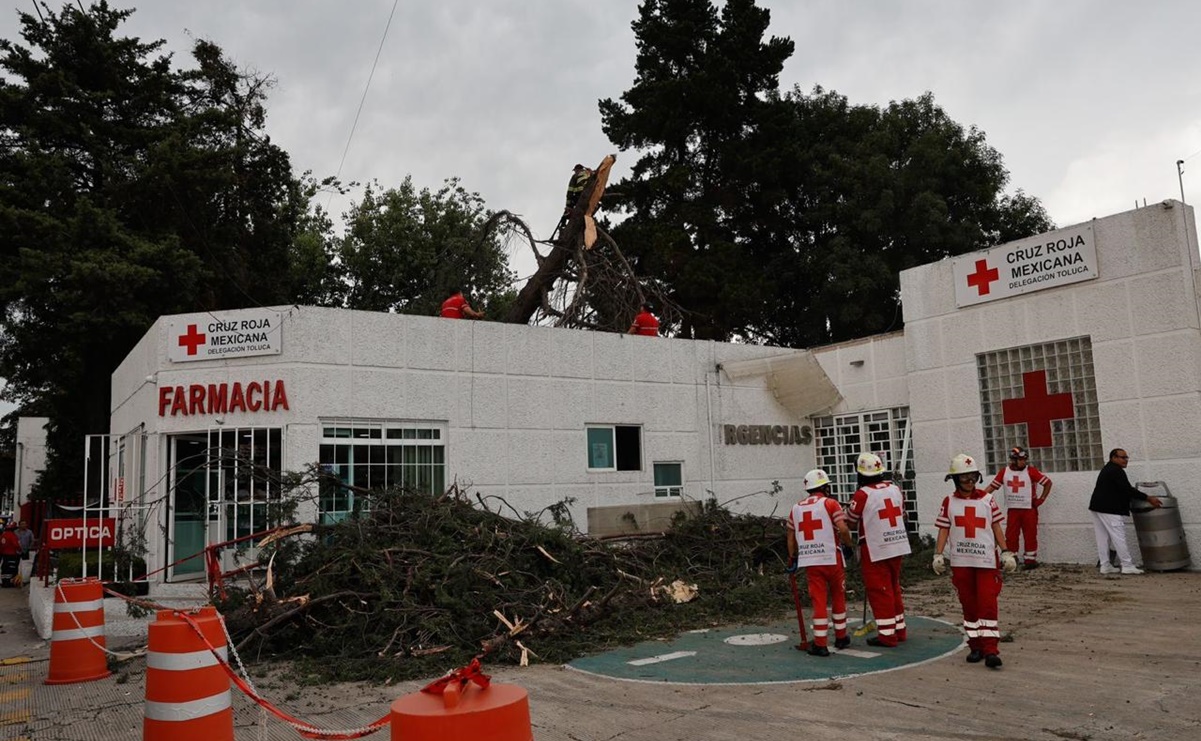 Cae árbol de 15 metros sobre instalaciones de la Cruz Roja en Toluca