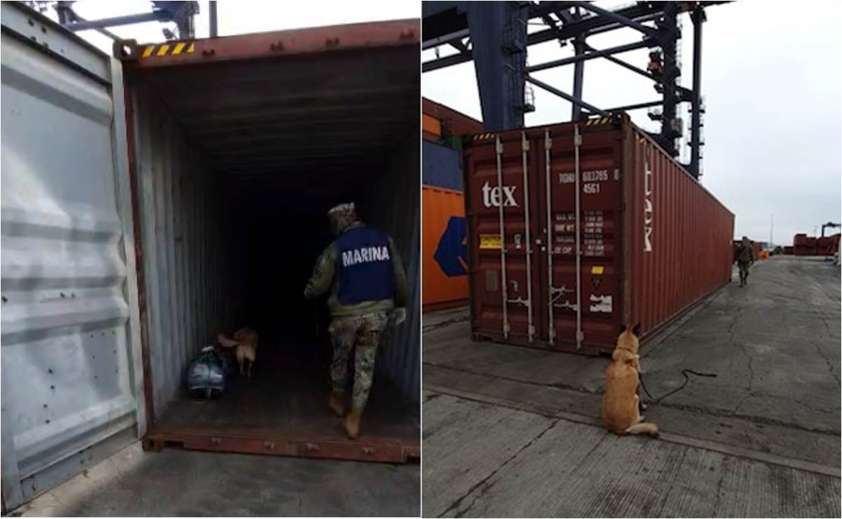 Armada aseguró 74.25 kilos de droga en Aduana en Marítima de Ensenada 