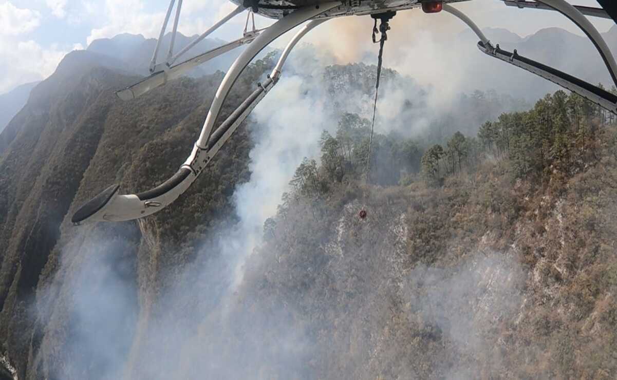 Incendio forestal consume más de 90 hectáreas en Nuevo León
