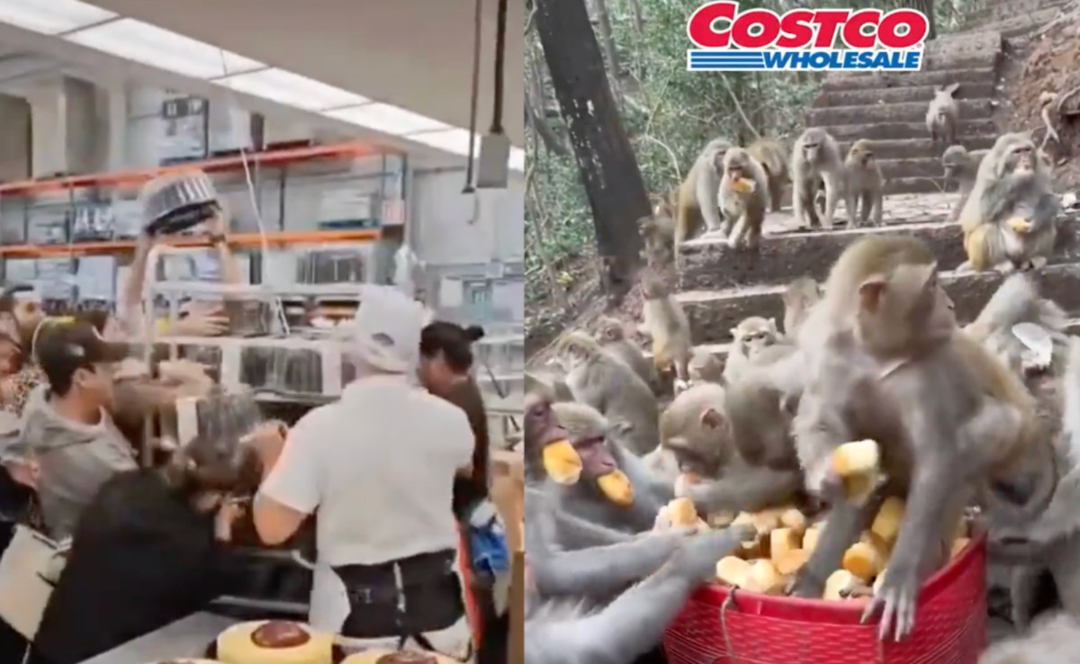 ¿Guerra de los pasteles en Costco? Videos y memes muestran furor de los clientes