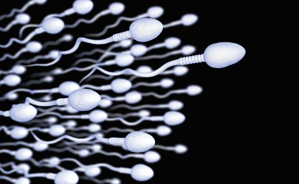 Mexican scientists discover how sperm really swims shattering centuries-old assumption