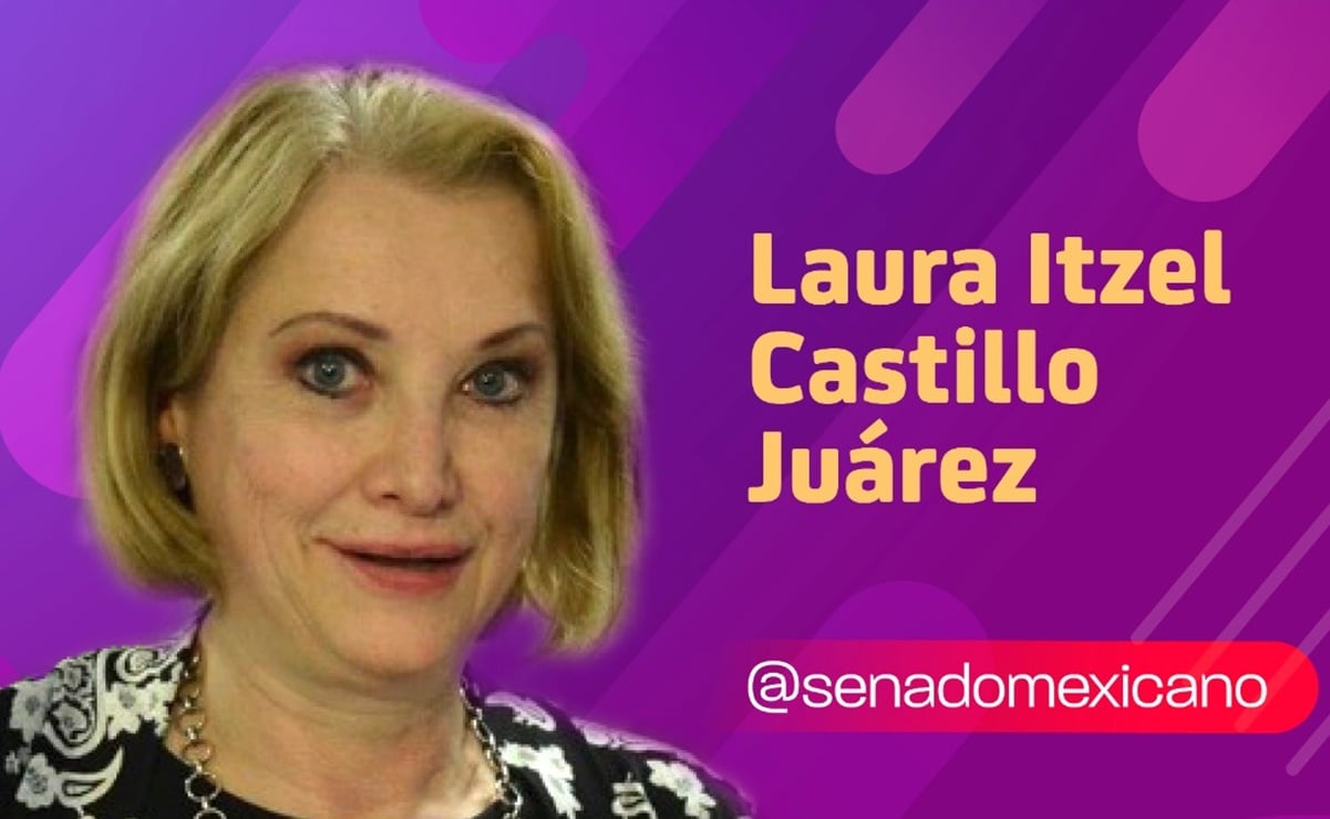 Laura Itzel Castillo rinde protesta como consejera de Pemex ante el Senado 