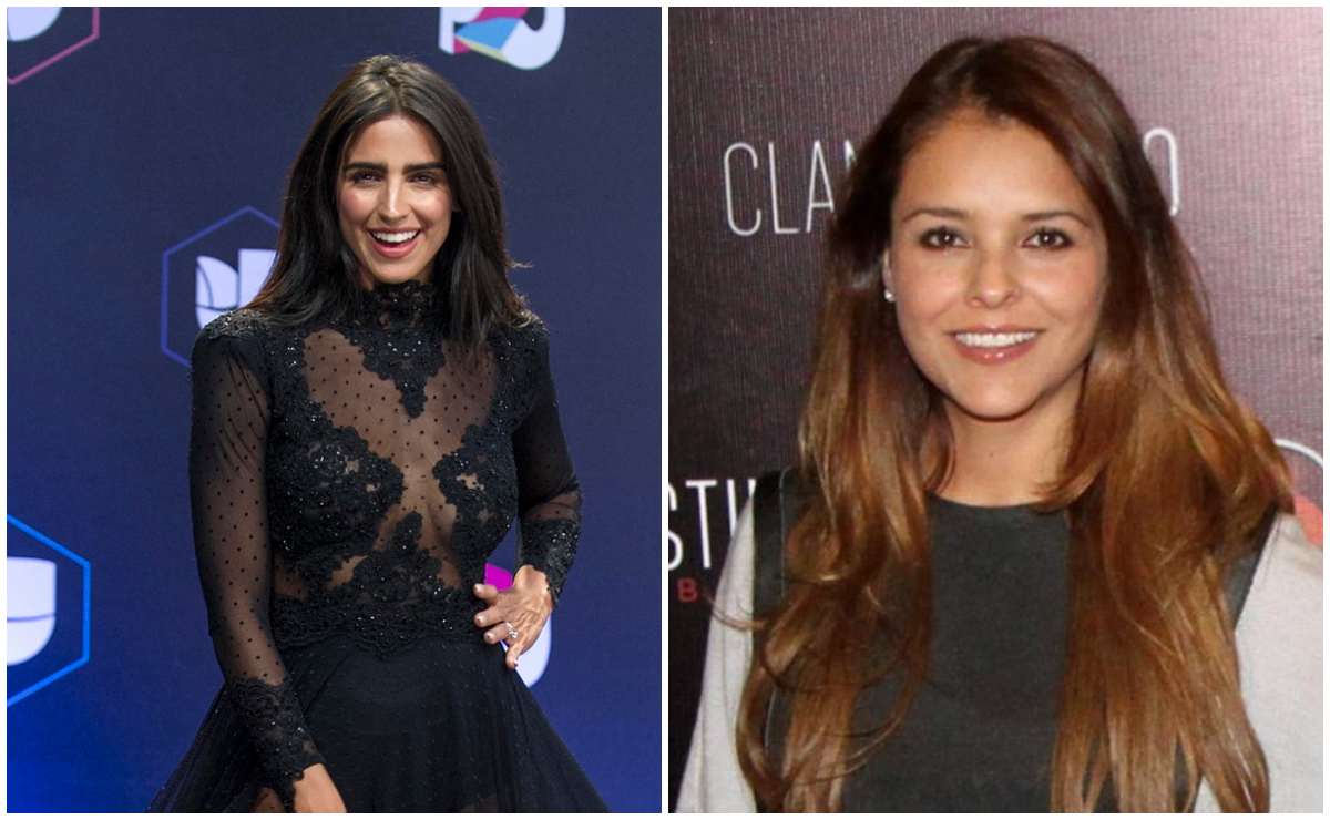 Bárbara de Regil, Sherlyn, Raúl Araiza y más que perdieron miles de seguidores por violar veda electoral