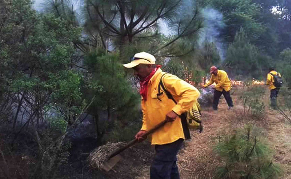 Michoacán concentra el 11.5 por ciento del total de incendios forestales del país