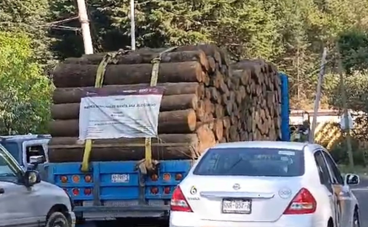 Detectan camión con madera en Jilotzingo; no tiene autorización, afirma alcaldesa