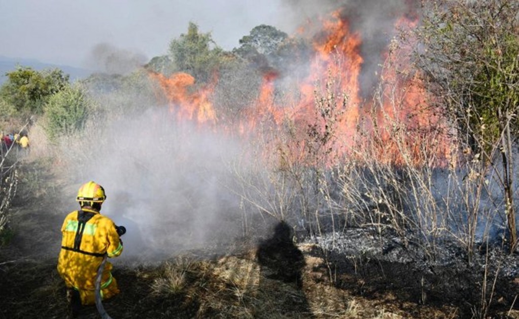 Afecta incendio forestal 350 hectáreas en Sierra Gorda de Querétaro 