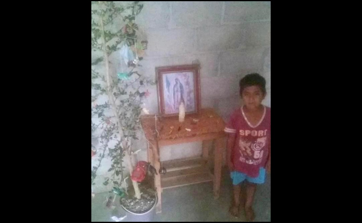El sueño de Jesús Antonio, niño chinanteco de Oaxaca, era tener un arbolito de Navidad