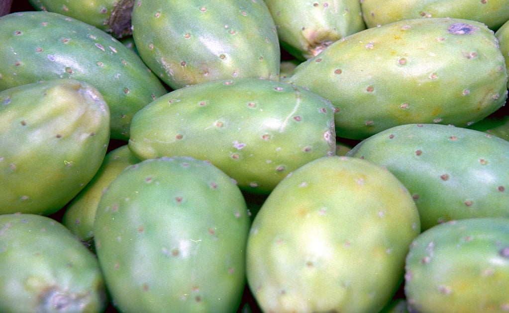 The many benefits of prickly pear fruit