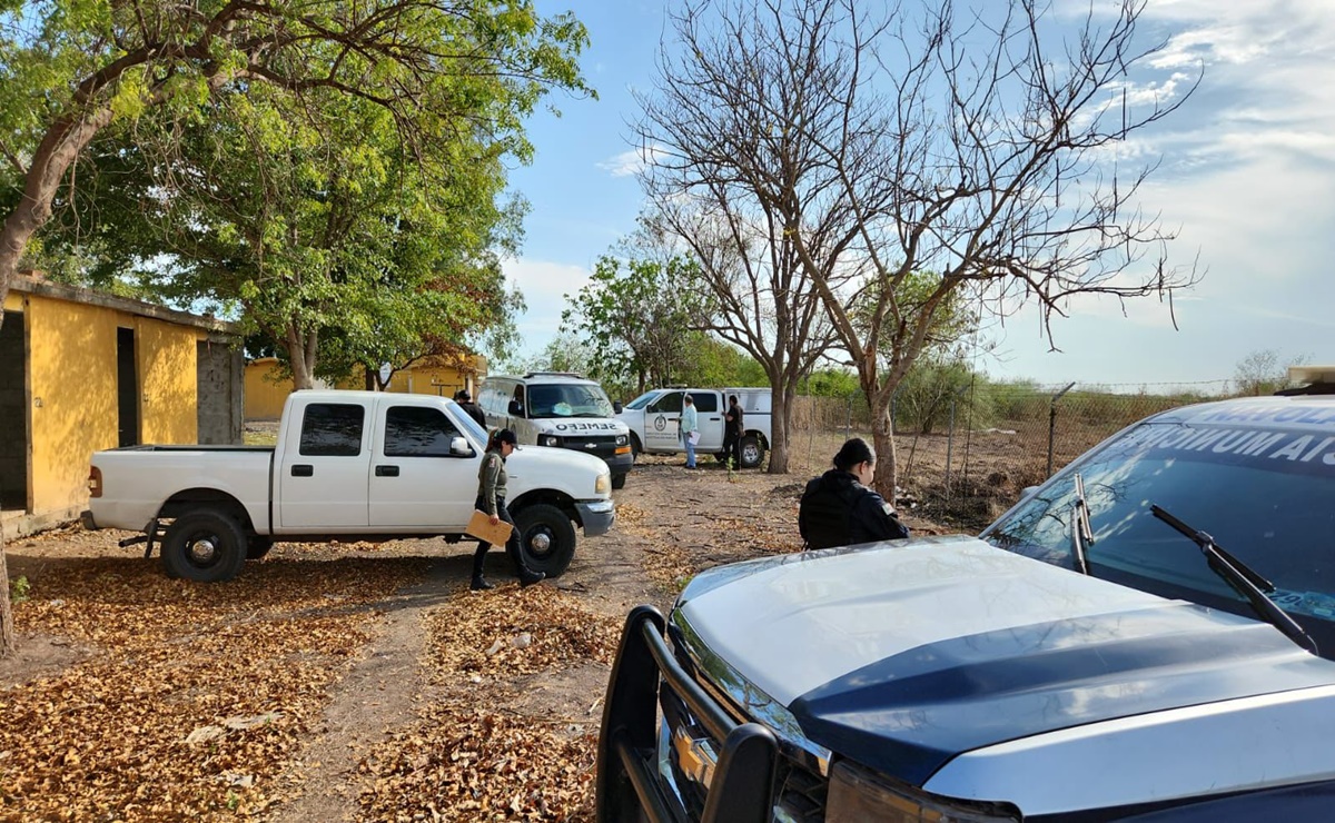 Cinco asesinatos violentos en 24 horas en Sinaloa; cuerpos calcinados, golpeados y con impactos de bala
