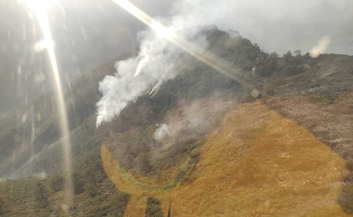 Incendio forestal afecta 15 hectáreas en sierra de Rayones, Nuevo León