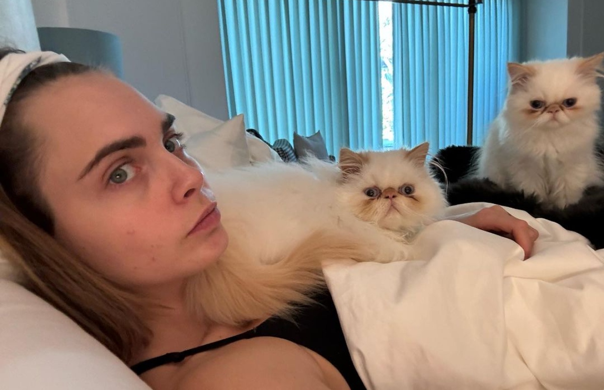 Cara Delevingne, destrozada por incendio en su mansión, muestra a sus gatos rescatados