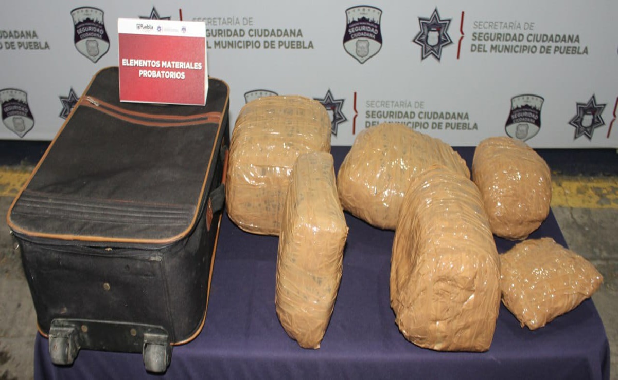 Reportan  576 detenidos por tráfico de drogas en Puebla