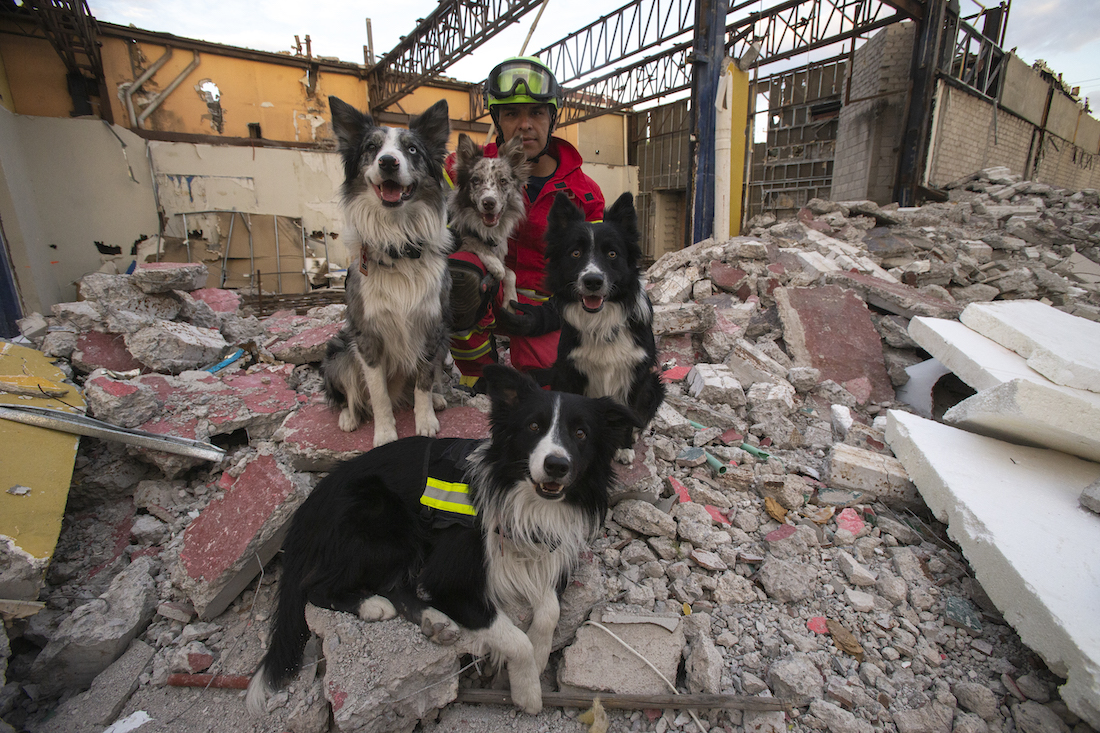 Perros rescatistas: amor, lealtad y compromiso