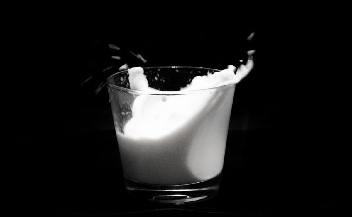 El tipo de leche a base vegetal que debes consumir si quieres bajar de peso