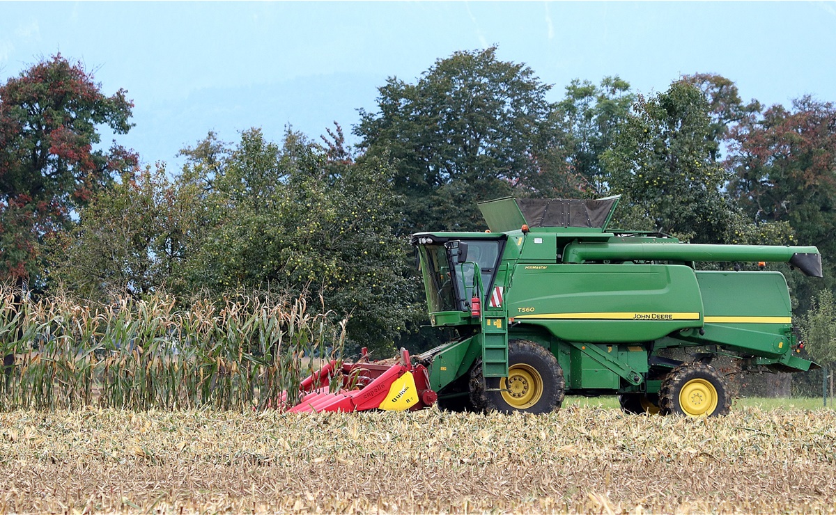 La visa que Estados Unidos otorga a trabajadores agrícolas 