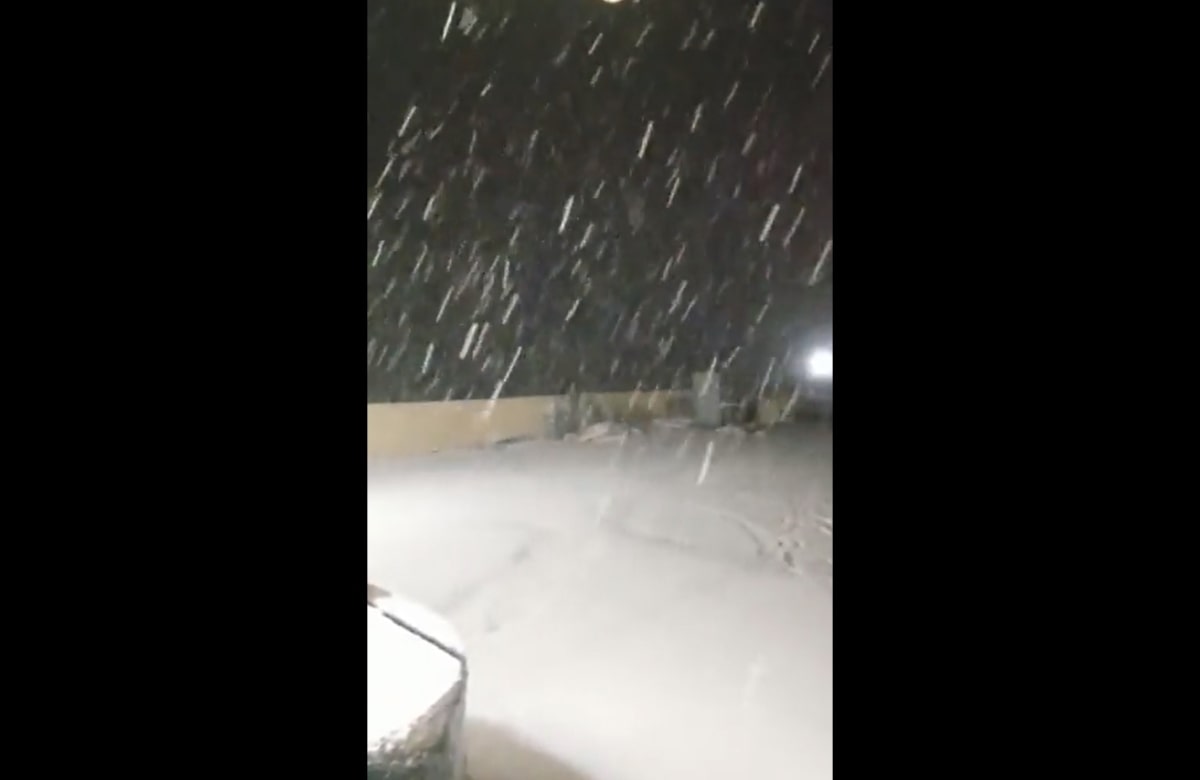 VIDEO: Así fue la primera nevada en el cerro El Potosí en Nuevo León
