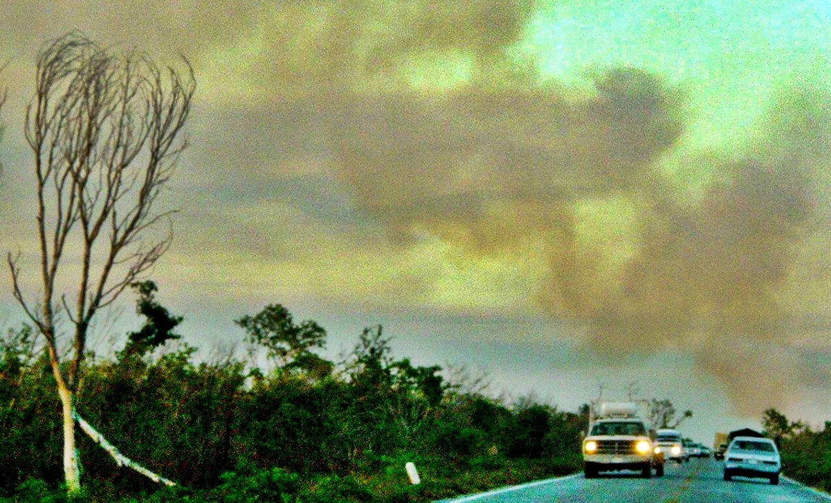 Se incrementan a 29 los incendios forestales en el país: Conafor
