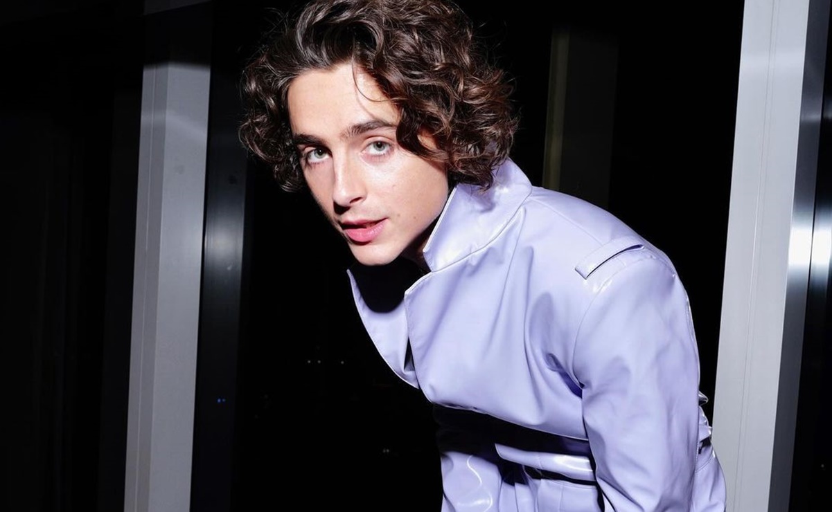 Timothée Chalamet, el hombre más guapo del 2023