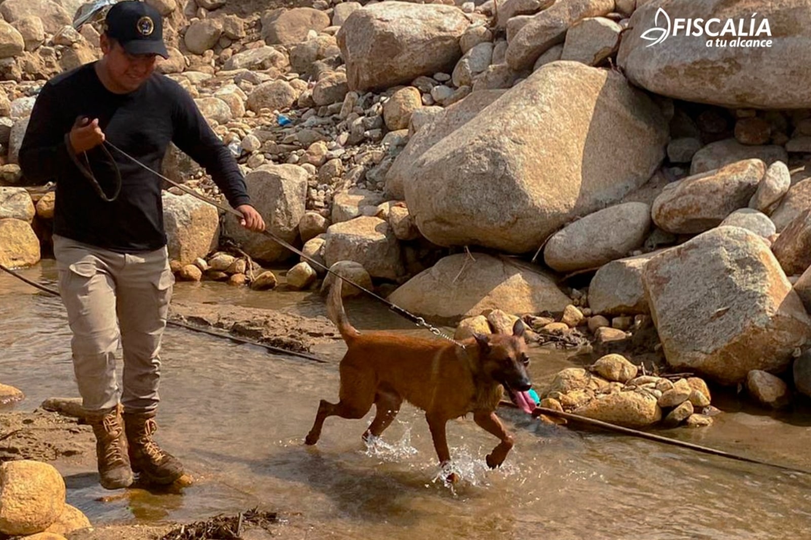 Binomio canino "Trino" ayuda en Acapulco a localizar cuerpo de mujer desaparecida tras huracán "Otis"
