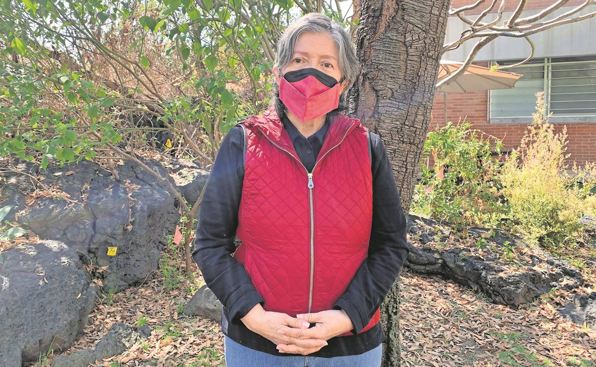 "Gertz copió, pero el caso de plagio no compete a la Junta de Honor”: Alma Orozco Segovia