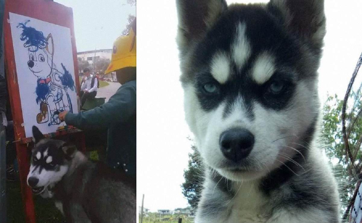 Histórico: dan 3 años de prisión a ecuatoriana que ahorcó al perrito Spayk