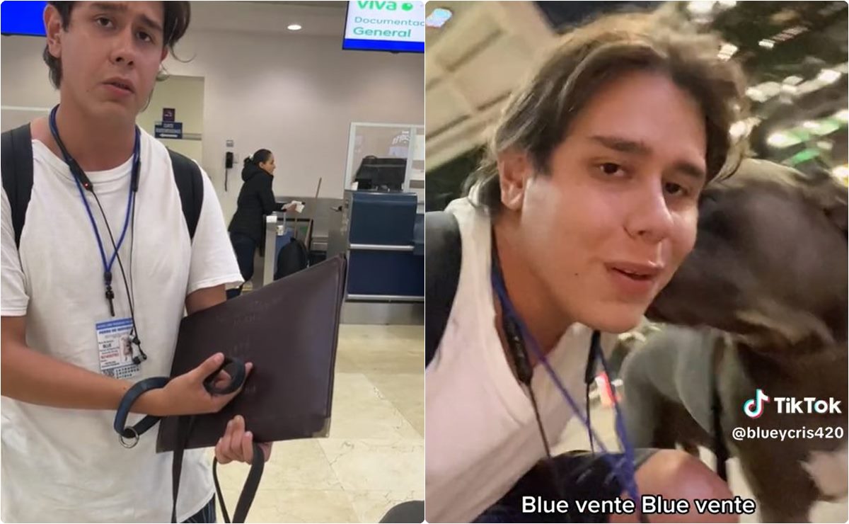 TikTok: Pierde el avión porque su perro no traía bozal y Viva Aerobus no lo dejó subir 