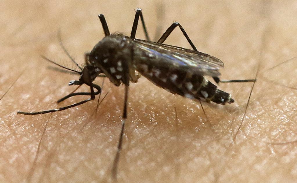 Registra Texas primera muerte relacionada con virus del zika