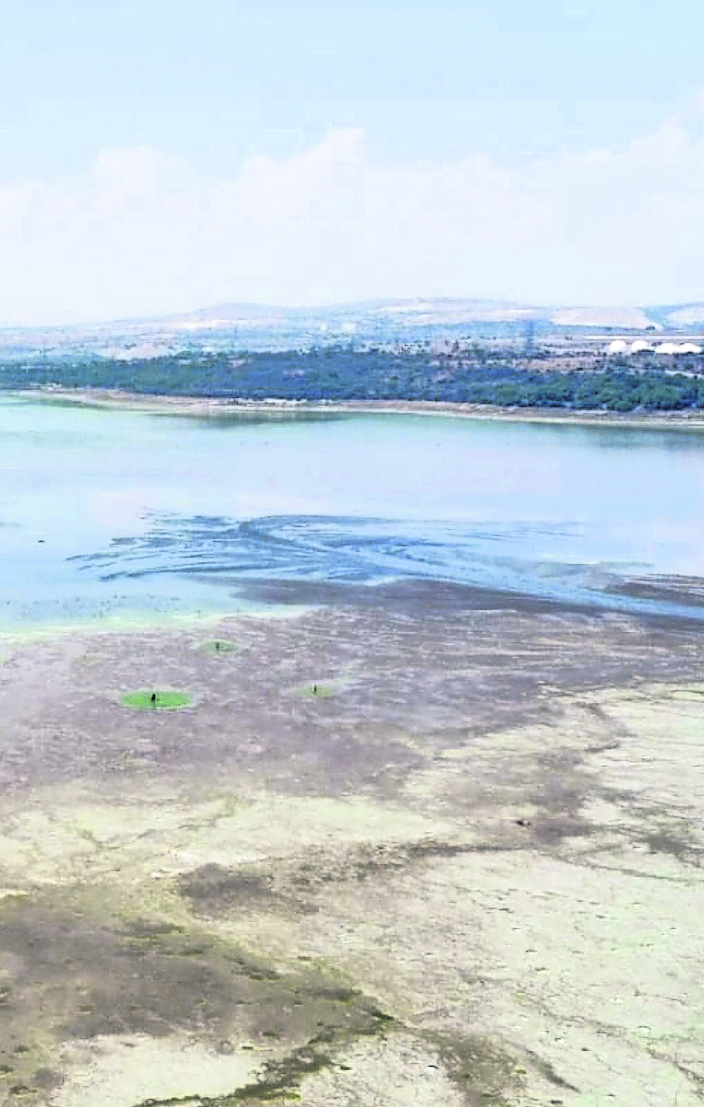 Mueren peces y aves por sequía de presa