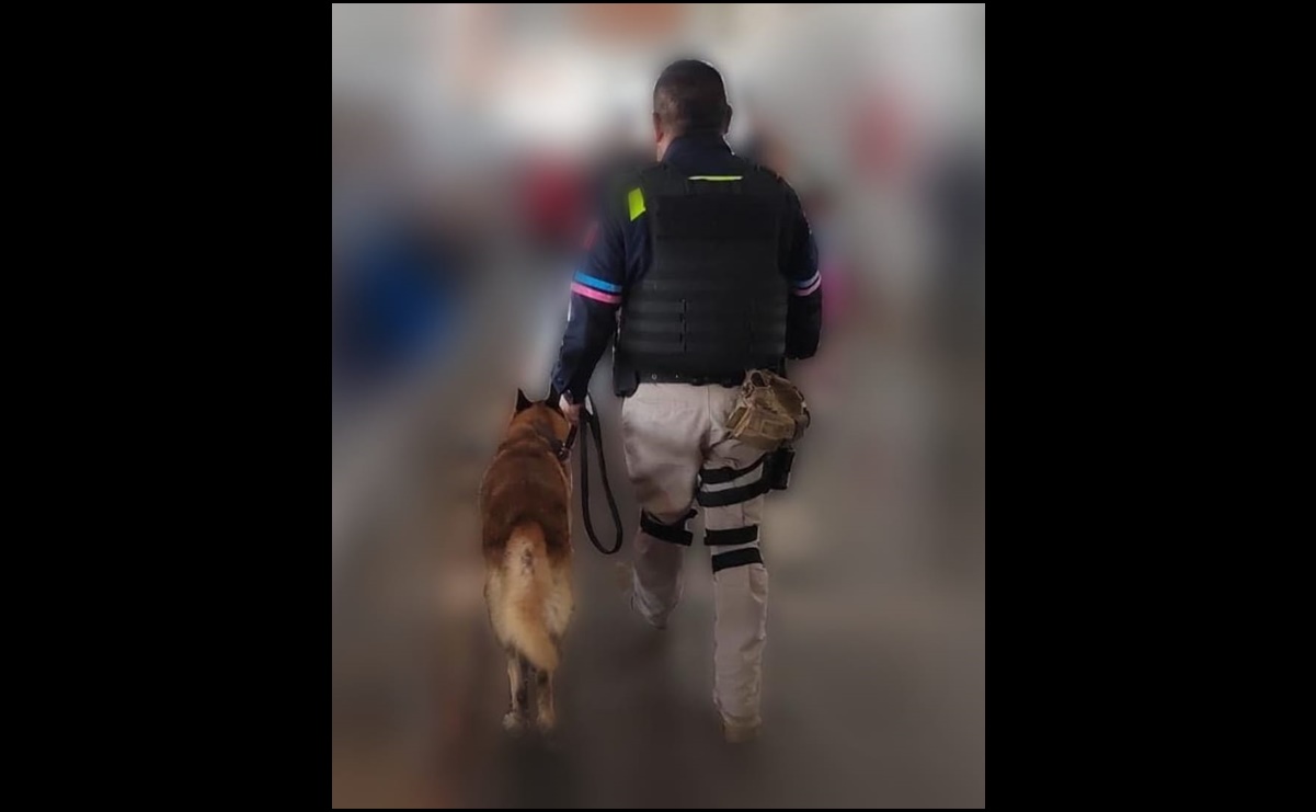 Agente canino asegura 22 kilos de cocaína en Puebla