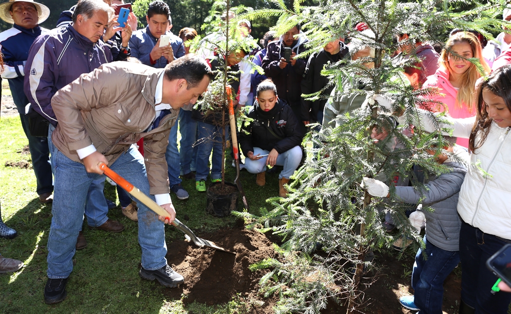 Empresa acuerda compensar tala en El Ocotal con 740 árboles