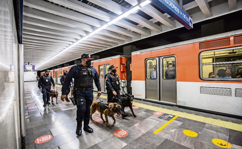 Sniffer dogs help Mexico City’s subway fight drug dealing