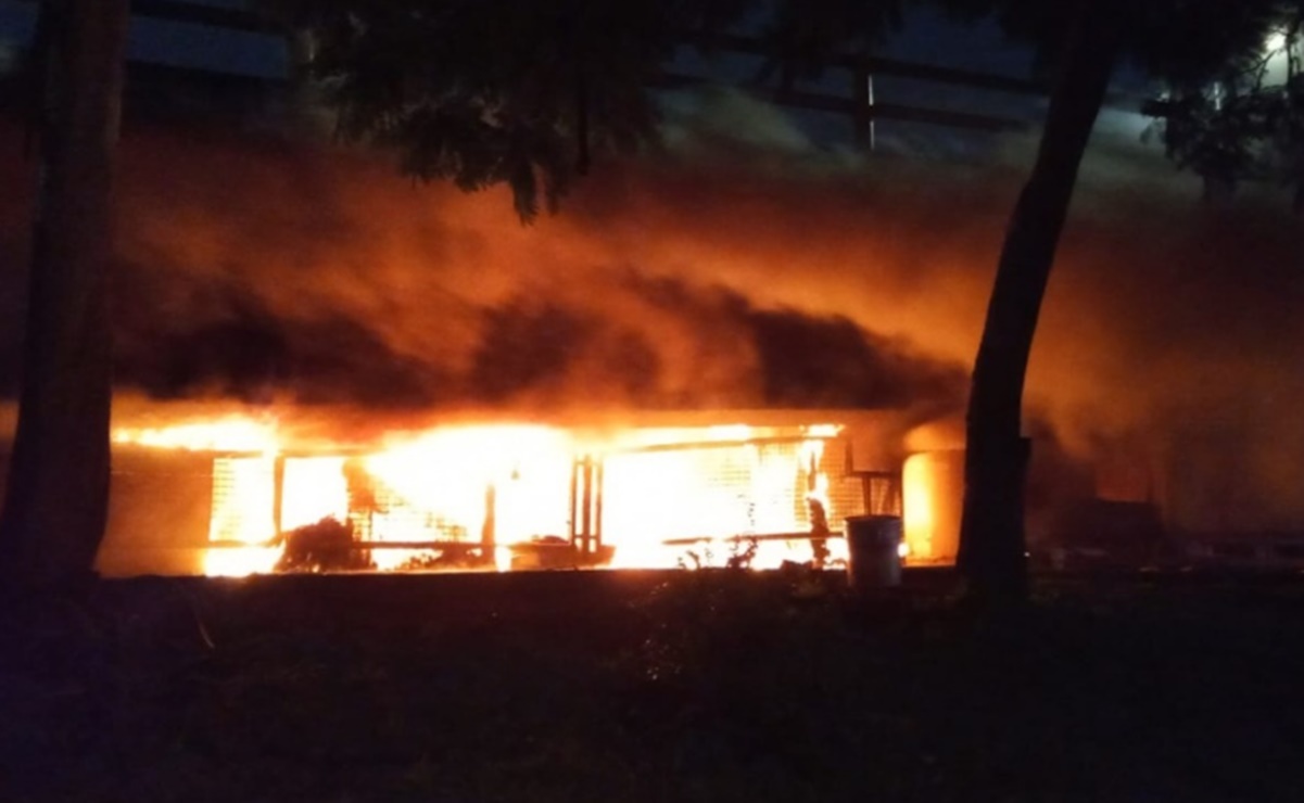 Incendio en Iztapalapa deja a 7 menores intoxicados; vivían bajo un puente de Churubusco