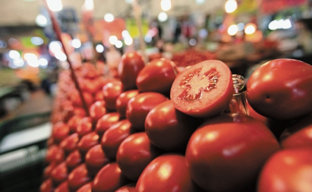 Corte de Nueva York niega amparo a tomateros mexicanos