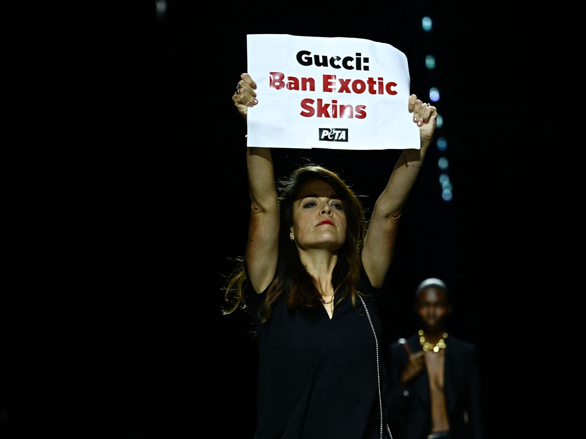 Activista de PETA irrumpe en el desfile de Gucci en Milán; "No más pieles exóticas". VIDEO