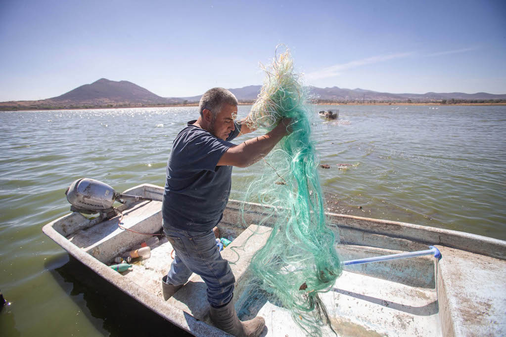 Ante sequía, pescadores de Querétaro reciclan el 90% de agua