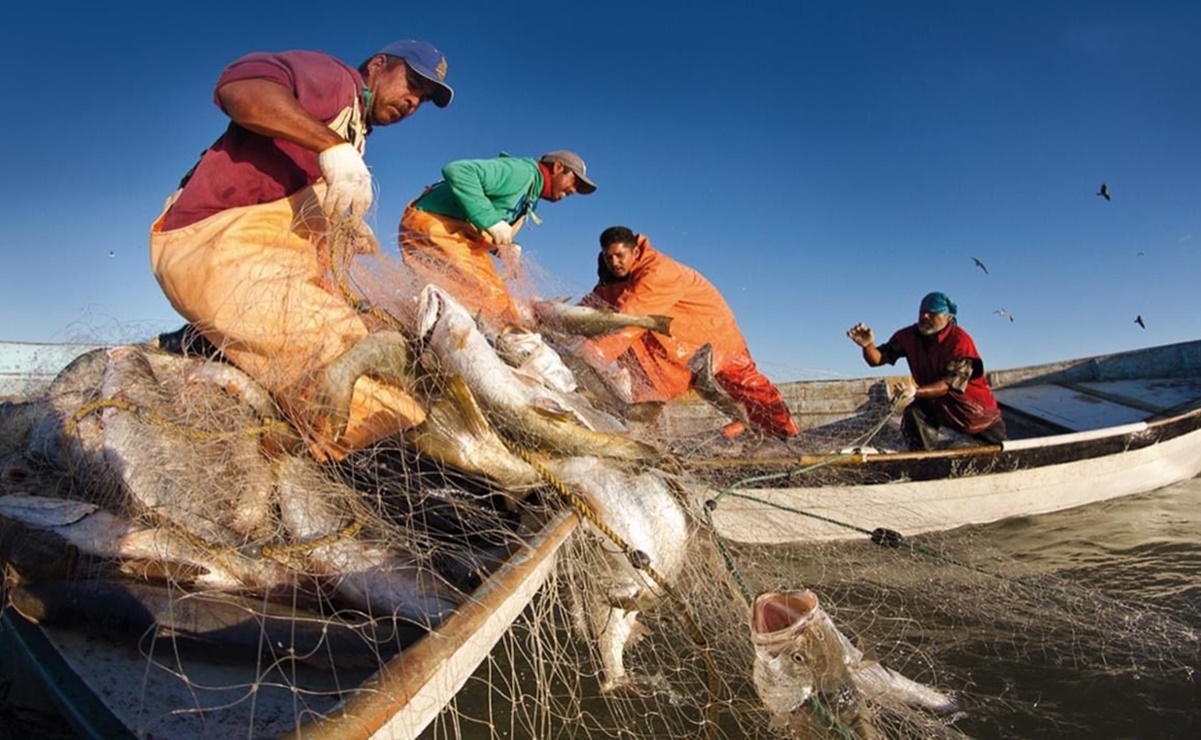 Recortes dejan en agonía a la pesca, acusa la Caninpesca