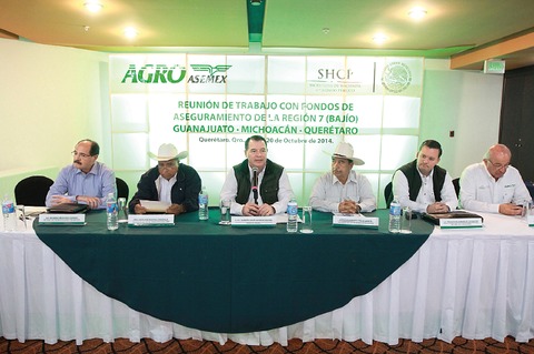 Agroasemex ve área de oportunidad 