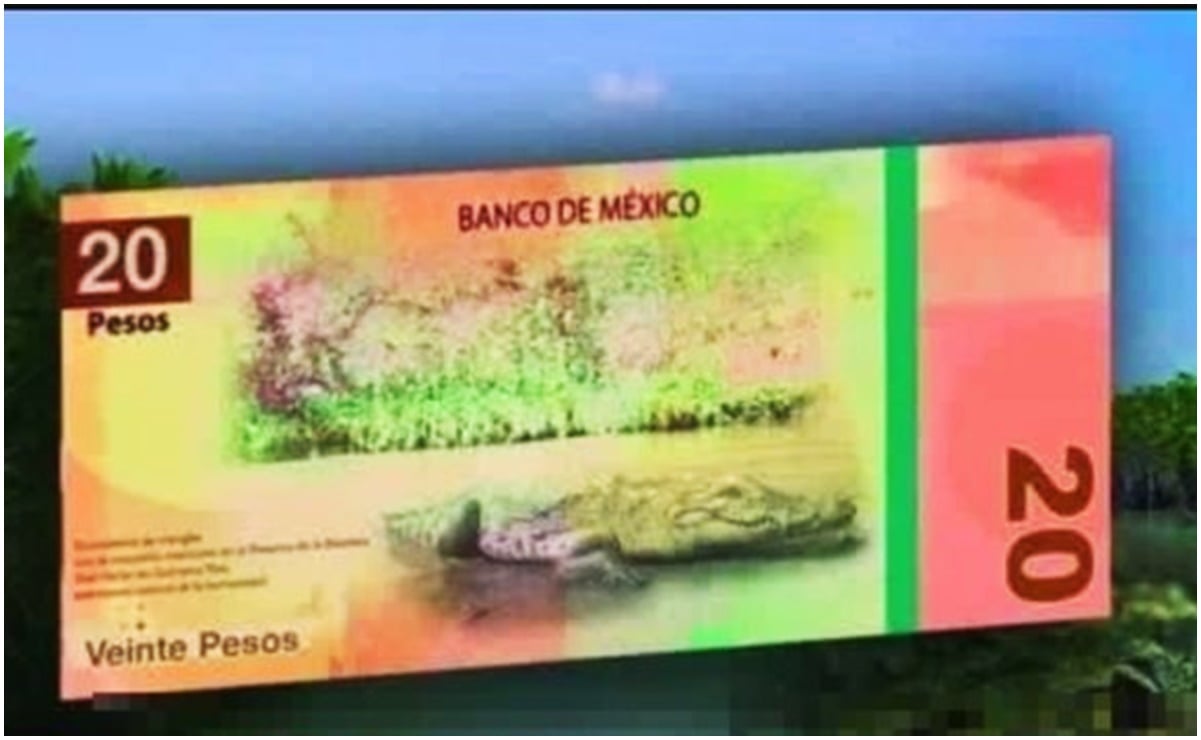 Banxico alista salida de Juárez y Morelos en nuevos billetes de 20 y 50 pesos