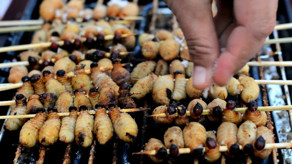 ¿Por qué hay tanto rechazo a comer insectos si son considerados "superalimentos"?