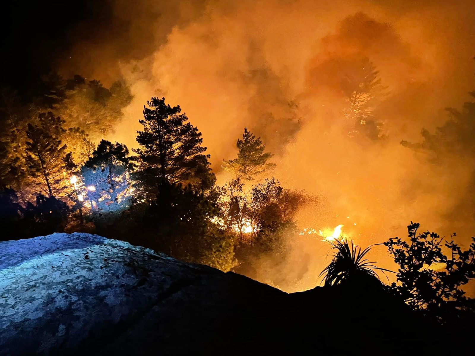 Consumen 12 incendios  simultáneos bosques de Oaxaca; retienen en Mitla al secretario de Cultura