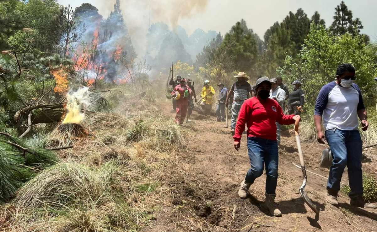 Incendios devastan 600 hectáreas de bosque en Jilotzingo; prevalece la hipótesis de que estos fuegos son provocados