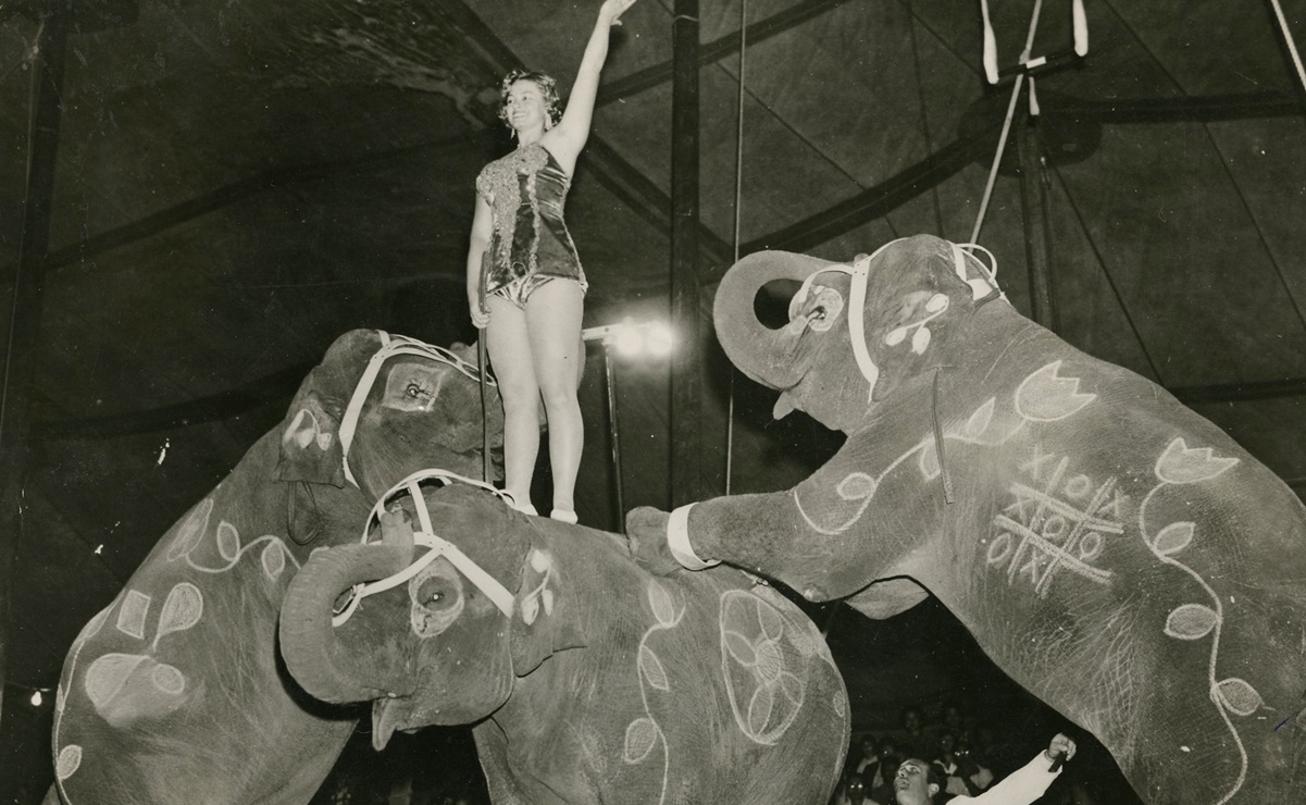 La cuarentena que duró años para los circos en la CDMX