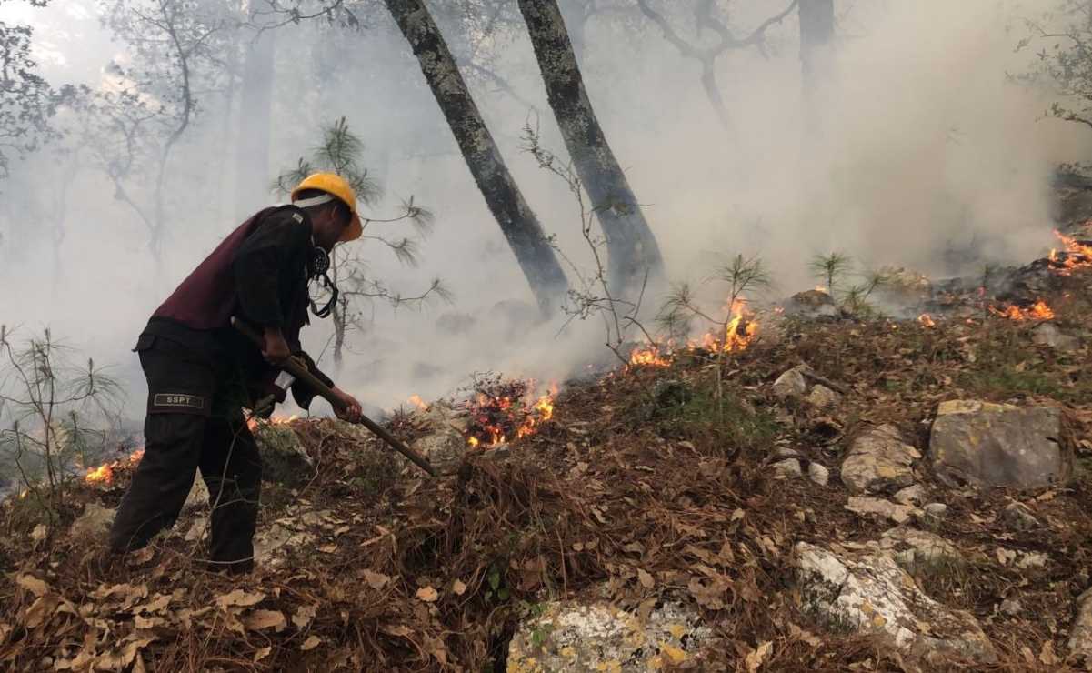 Incendio forestal en Sierra de Ciudad Victoria ha consumido 2 mil hectáreas en una semana