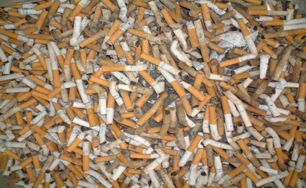 SAT destruye 3.5 millones de cigarros ilegales en Campeche 