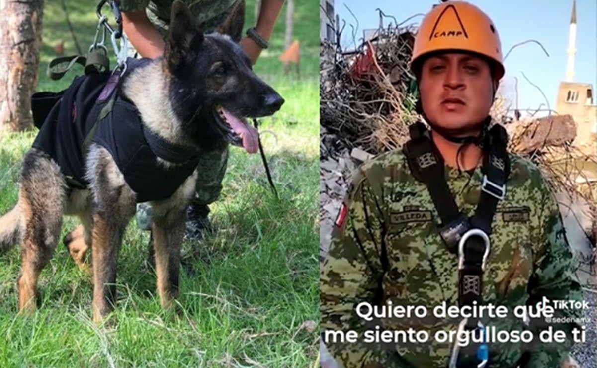 VIDEO: "Nos volveremos a ver": entrenador se despide de Proteo, perro rescatista en Turquía
