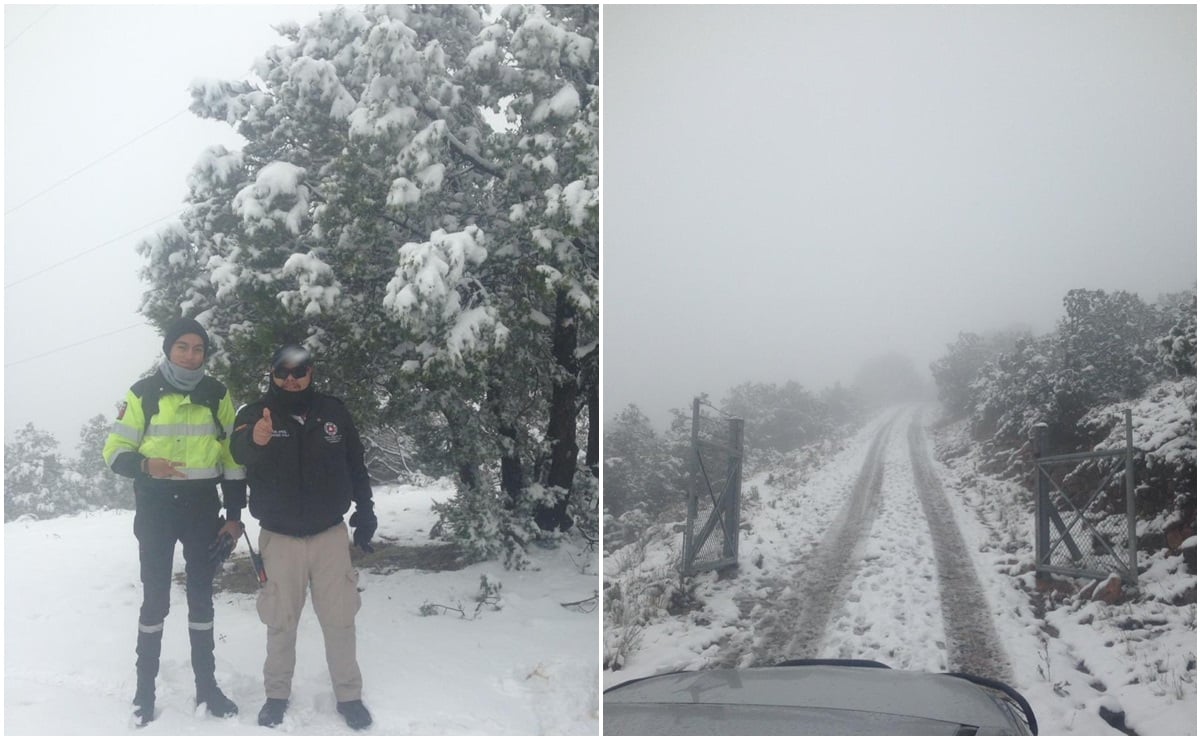Activan plan DNII-E por nevada en Zacatecas; prevén hasta -5 grados