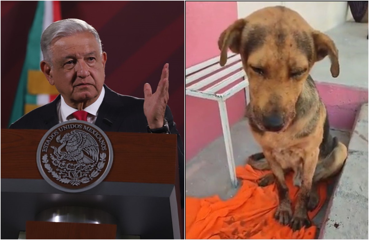 Insiste AMLO en reforma al Poder Judicial; no descarta que incluya a la FGR
